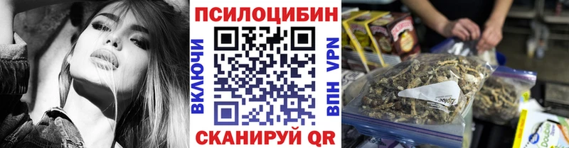 Псилоцибиновые грибы Magic Shrooms  купить наркотики сайты  Алдан 